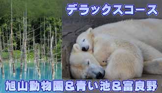 旭山動物園　見学　タクシー送迎