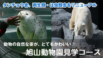 旭山動物園送迎タクシー